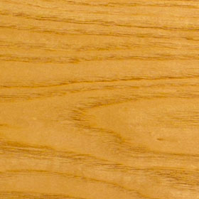 Sassafras Wood Sample
